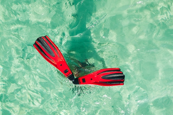 snorkeling is one of the best activities in Roatan - red fins in clear water