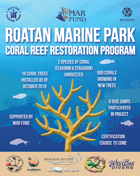 Roatan Marine Park coral reef restoration program information 2019